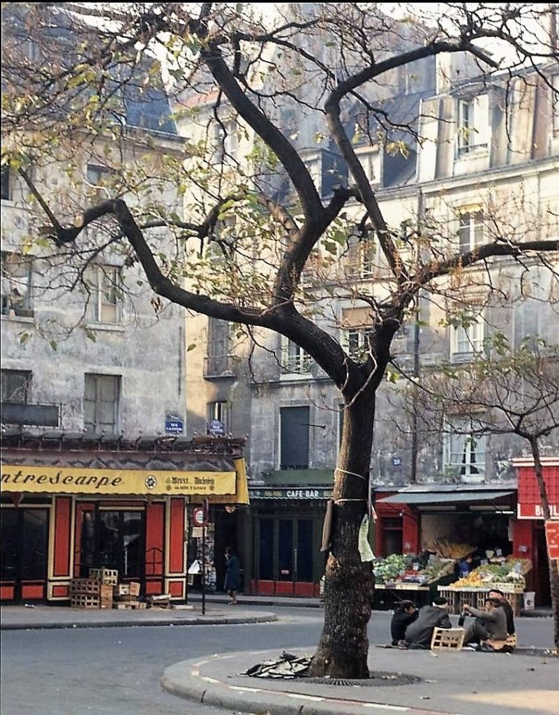 Place de la Contrescarpe 1965